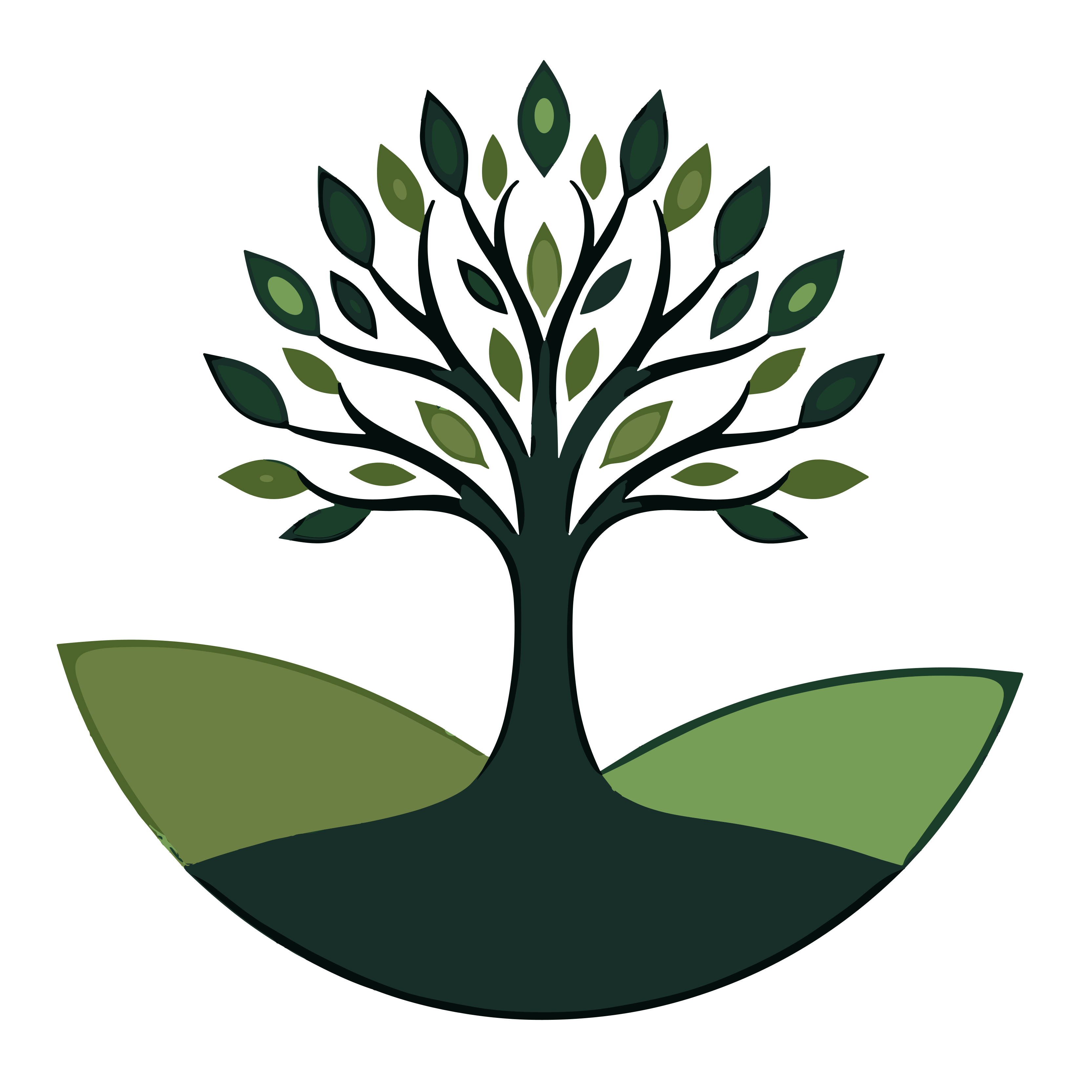 Logo ANIMO